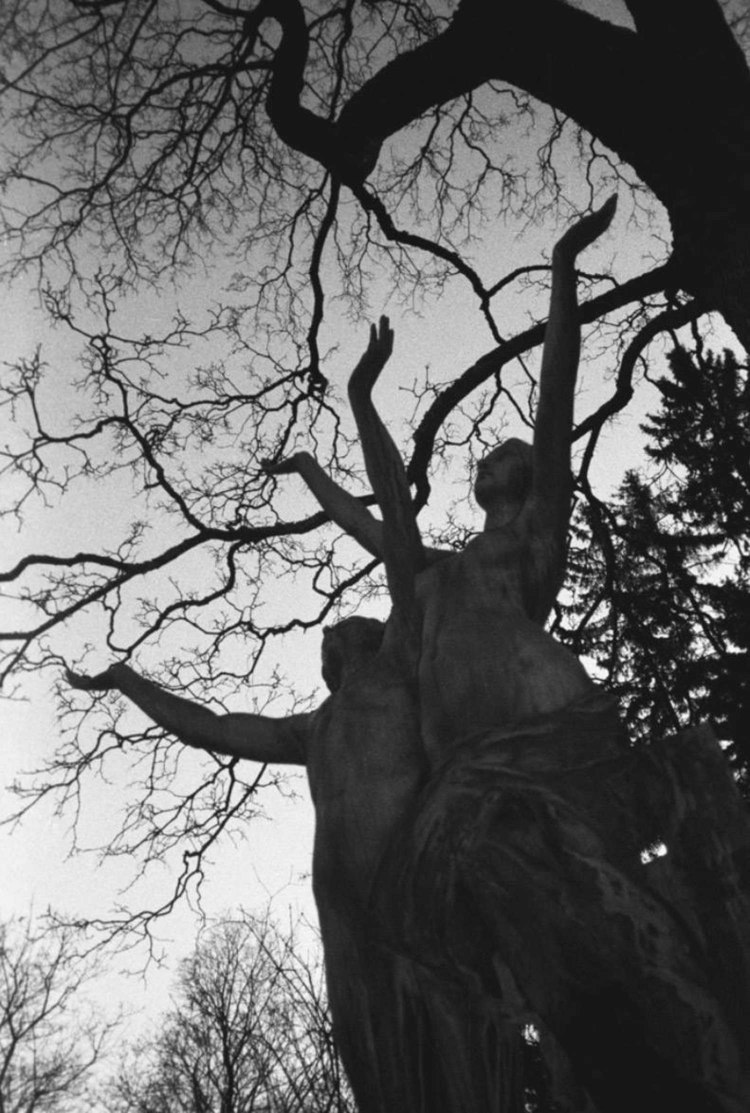 , When Fear Becomes a Friend