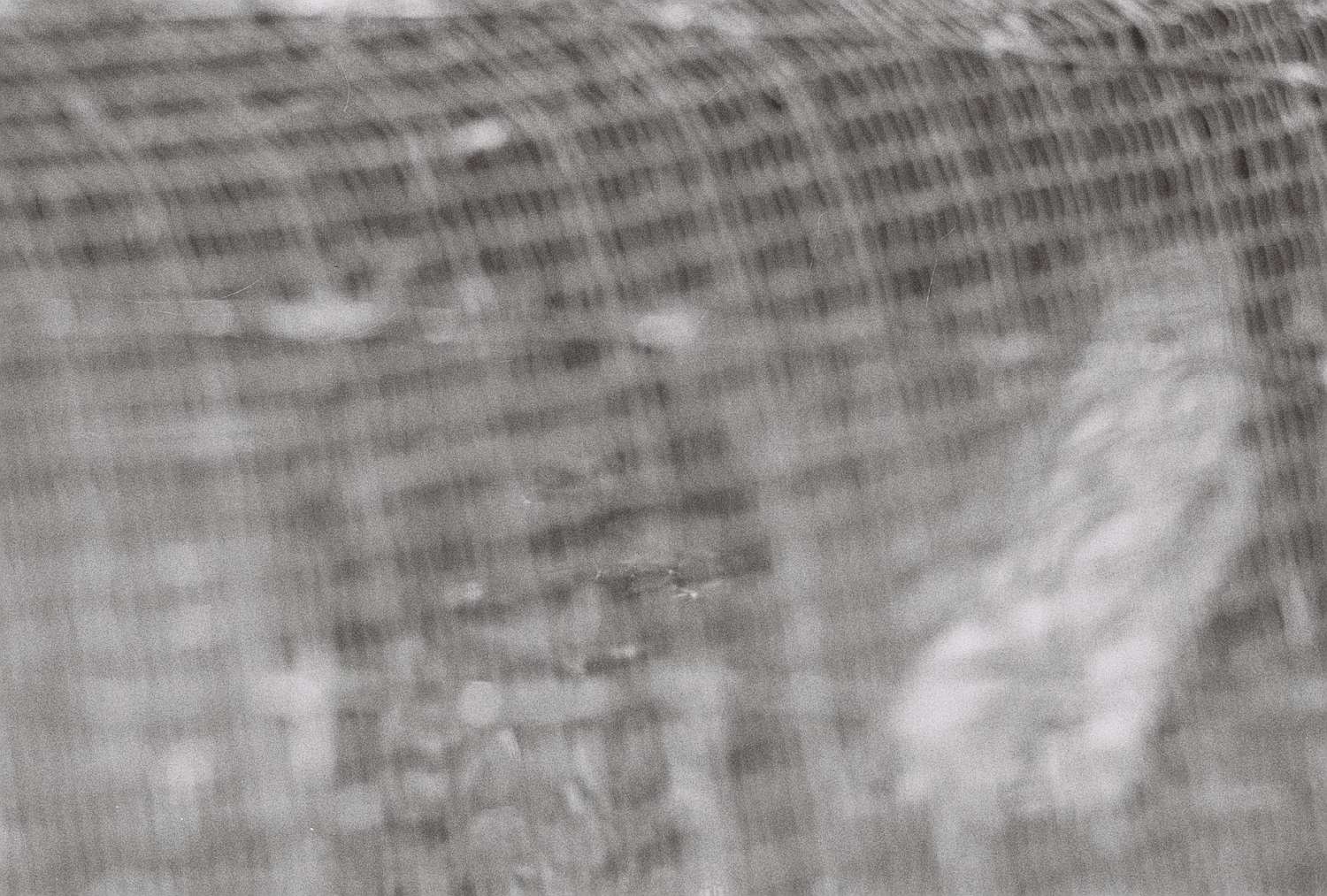 , Yevgenia Belorusets