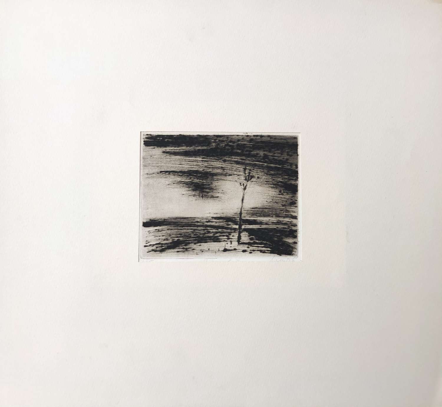 , Павло Маков