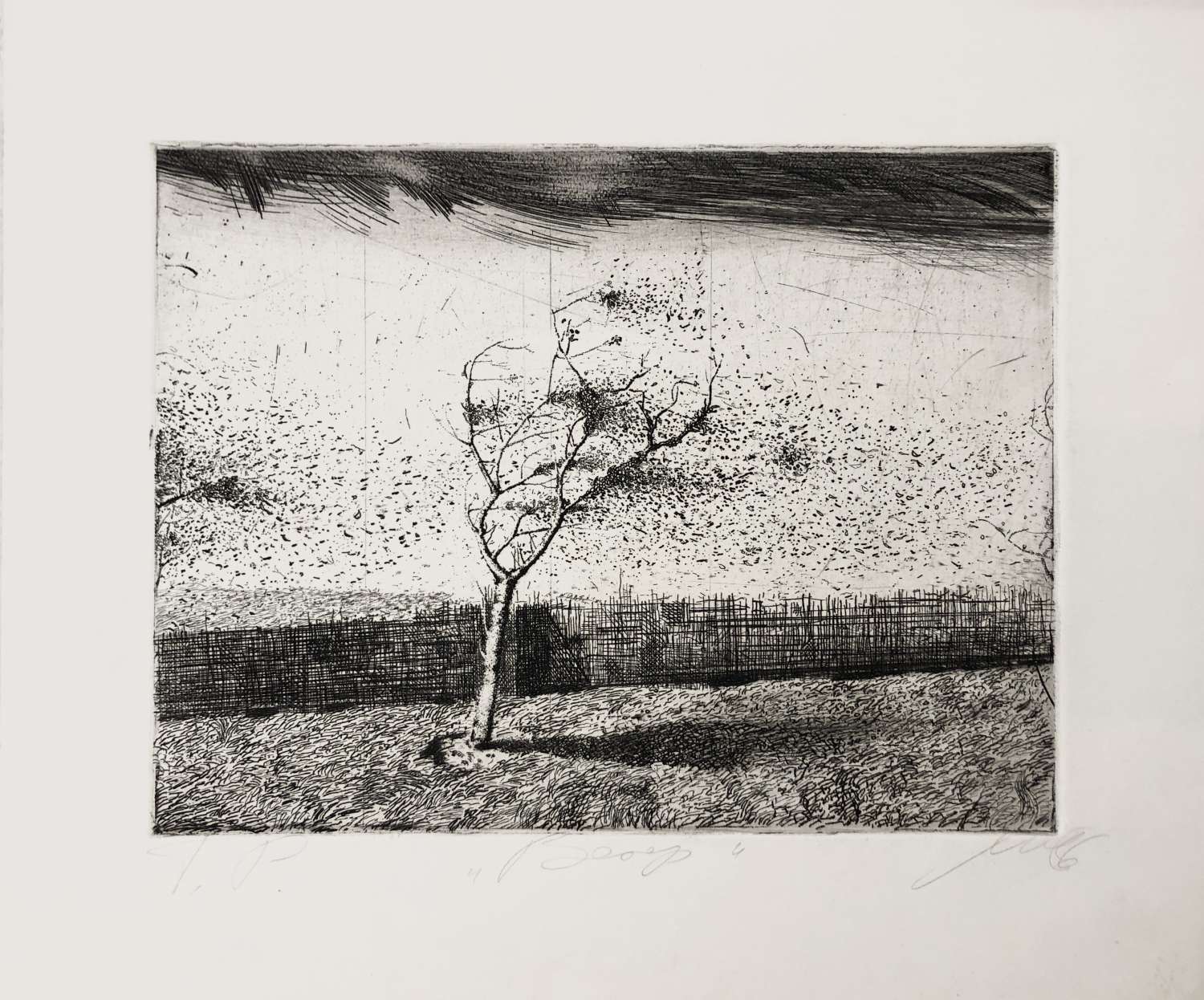 , Павло Маков