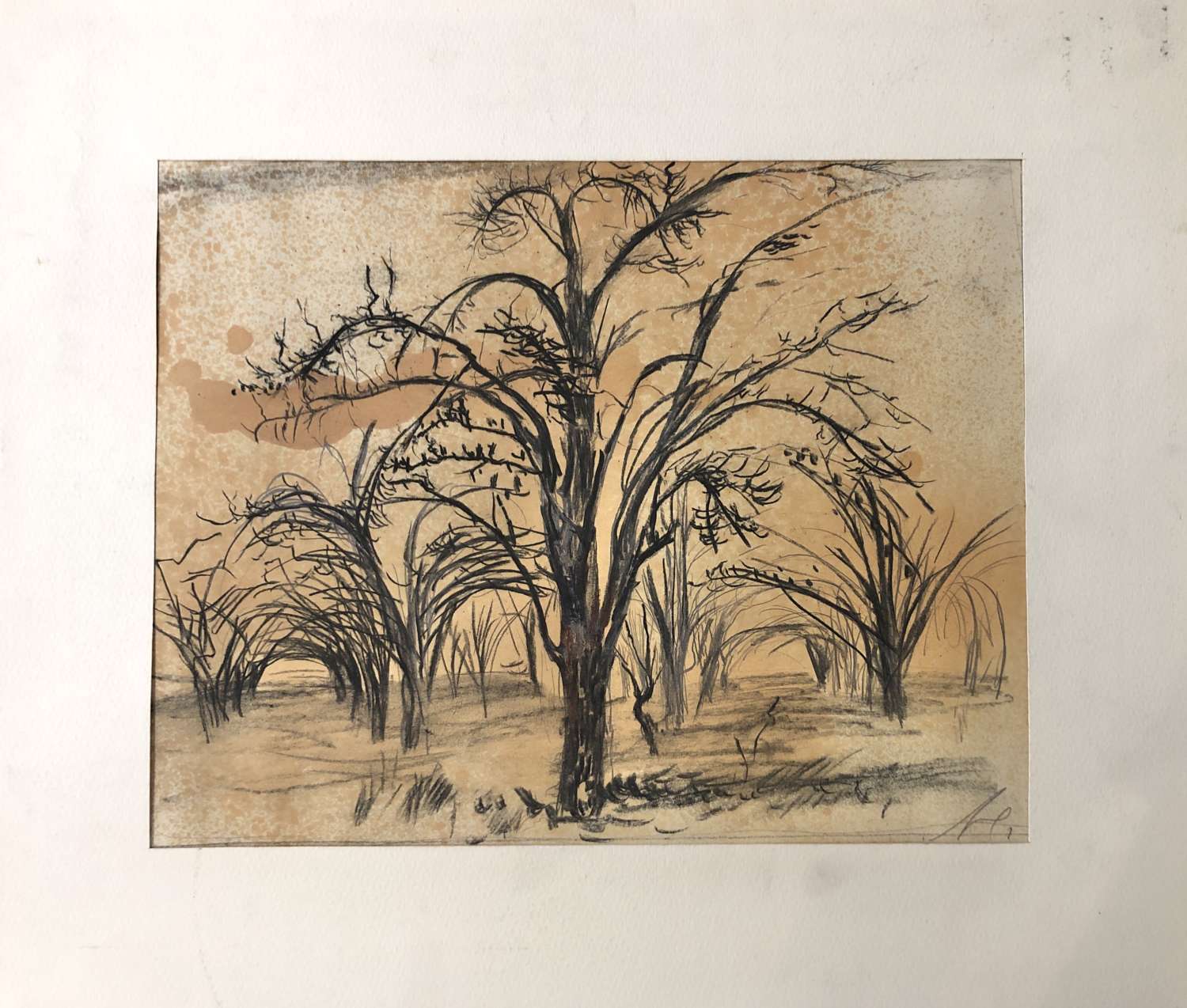 , Павло Маков