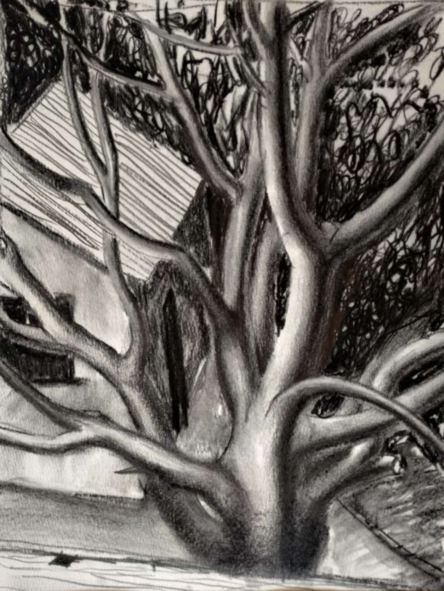 , Павло Маков