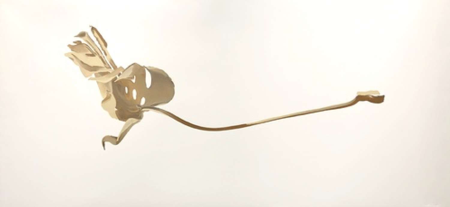 , Ксенія Гнилицька