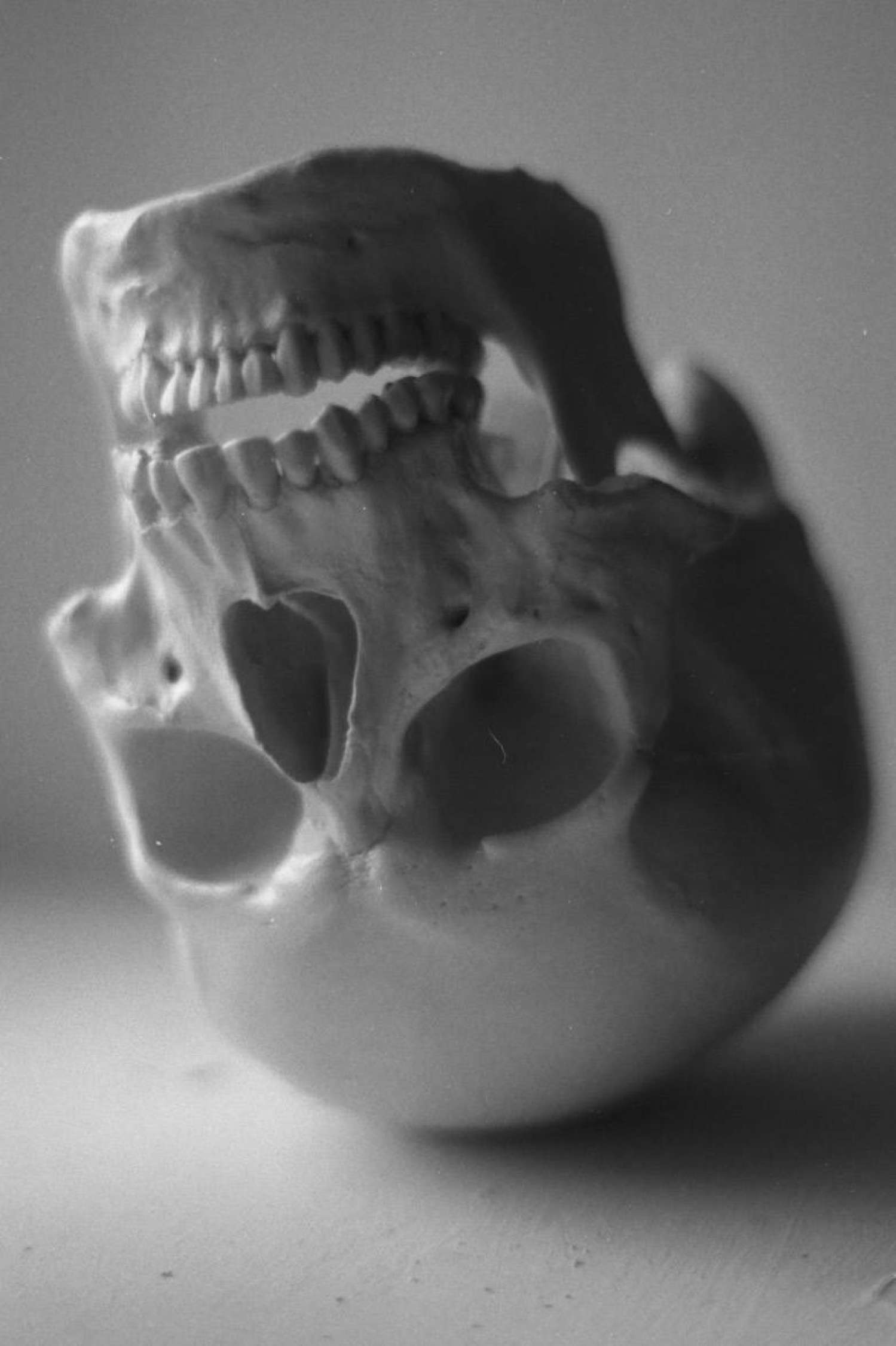 , When Fear Becomes a Friend