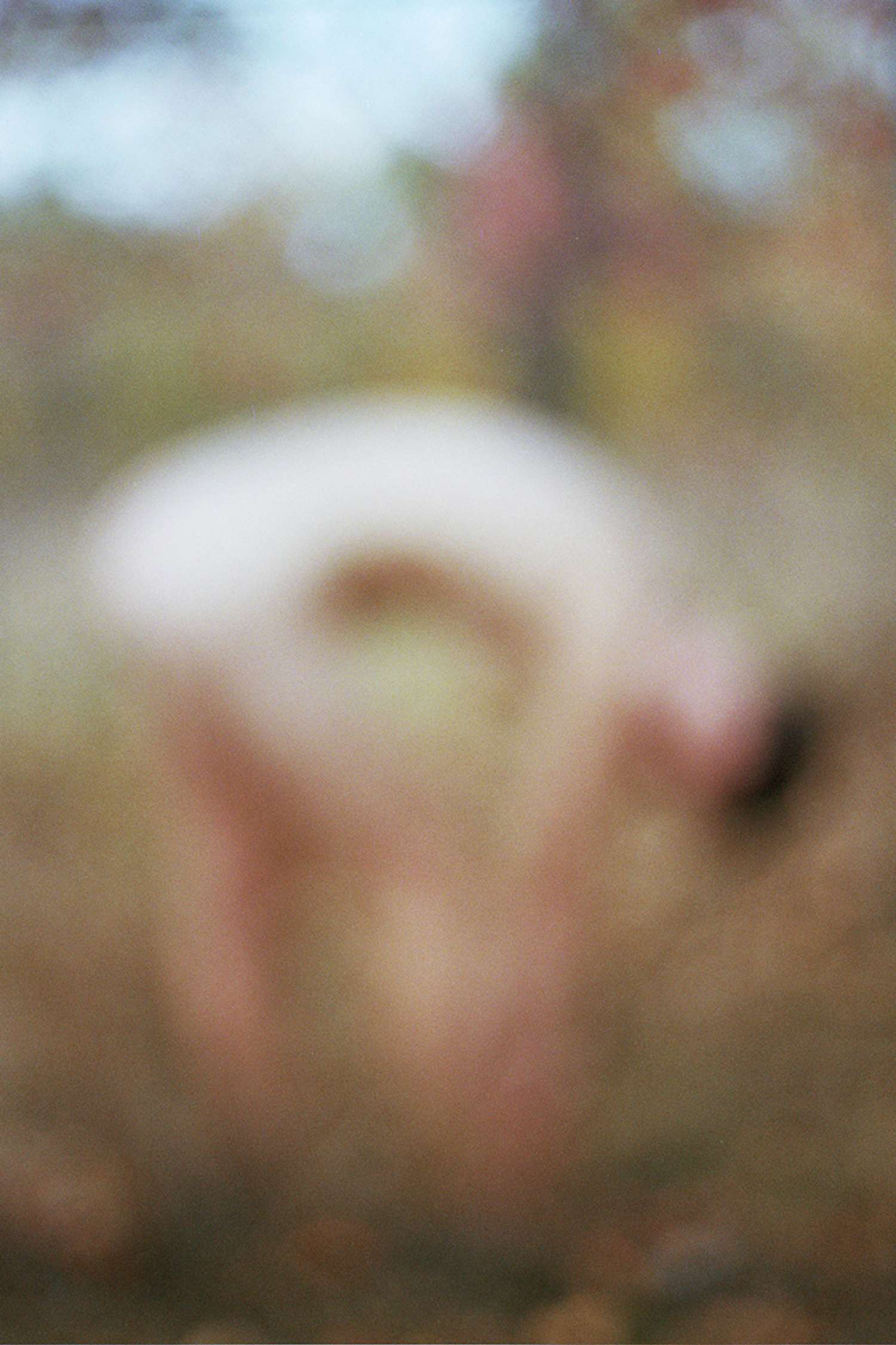 , Саша Курмаз