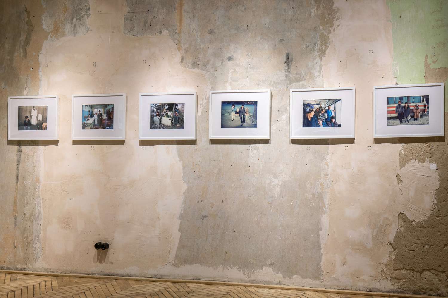 We All Once Lived. Photo 3