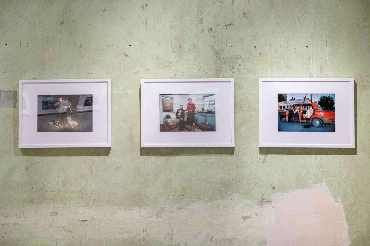 We All Once Lived. Photo 8