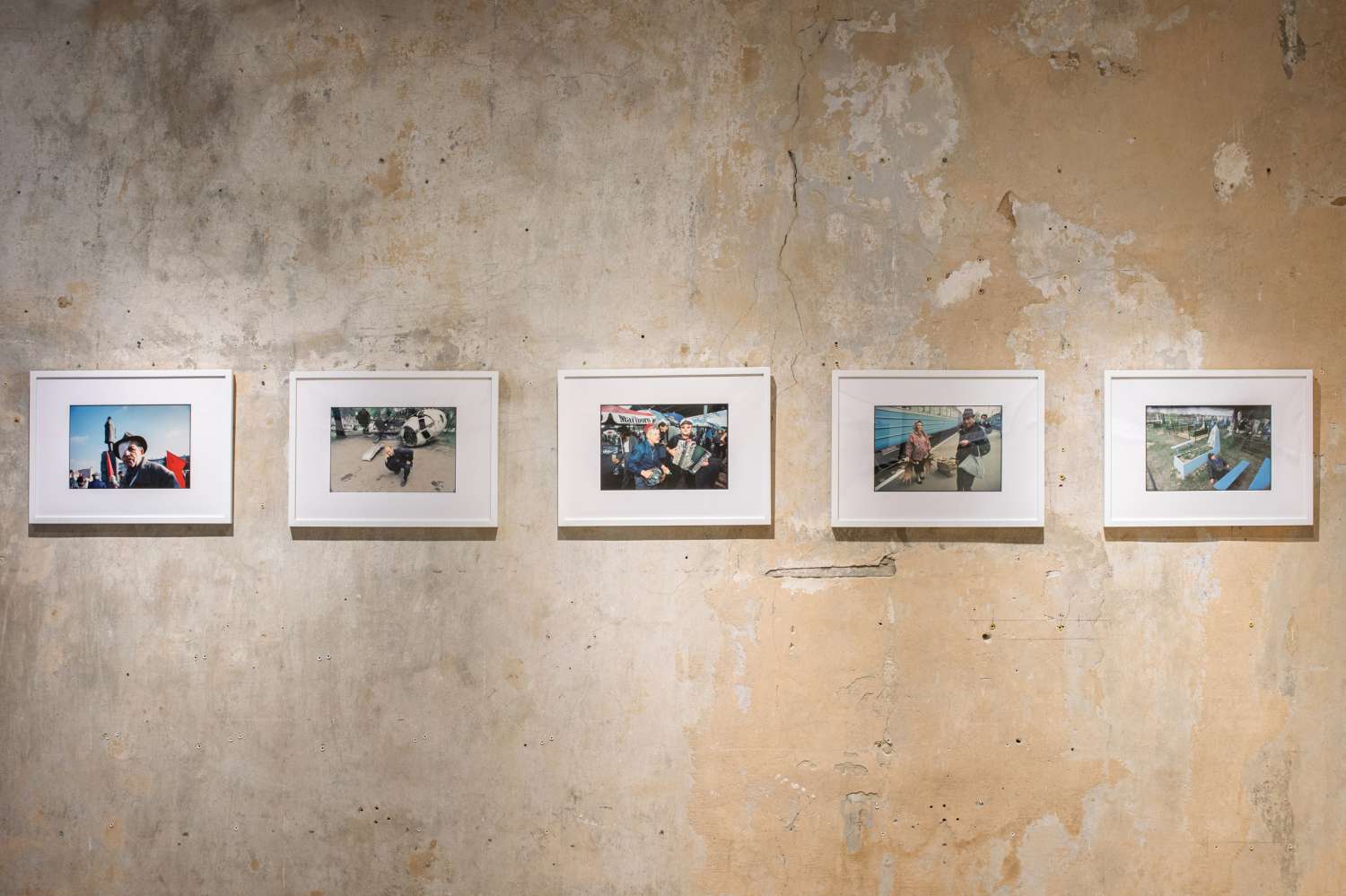 We All Once Lived. Photo 9