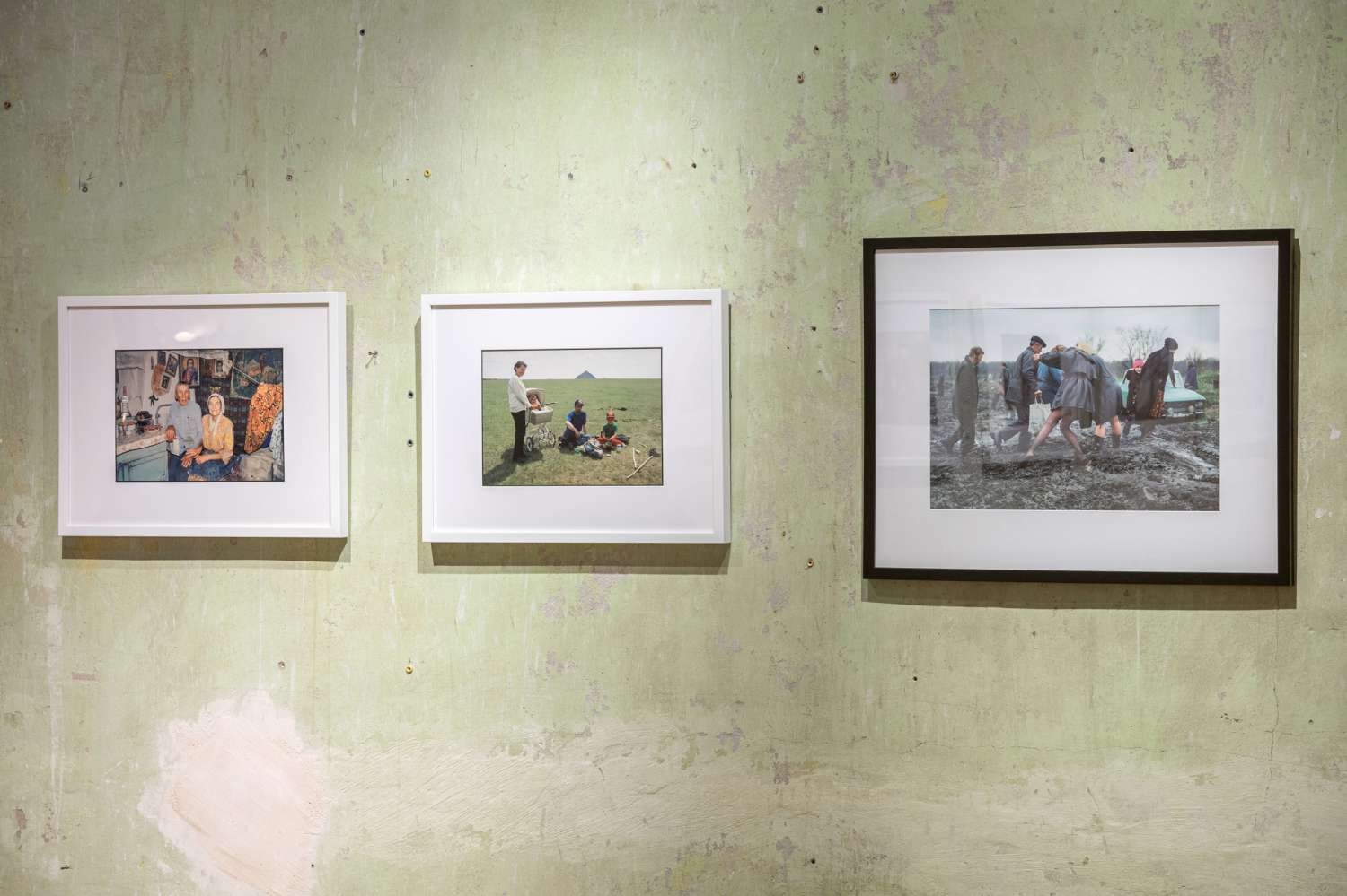 We All Once Lived. Photo 10