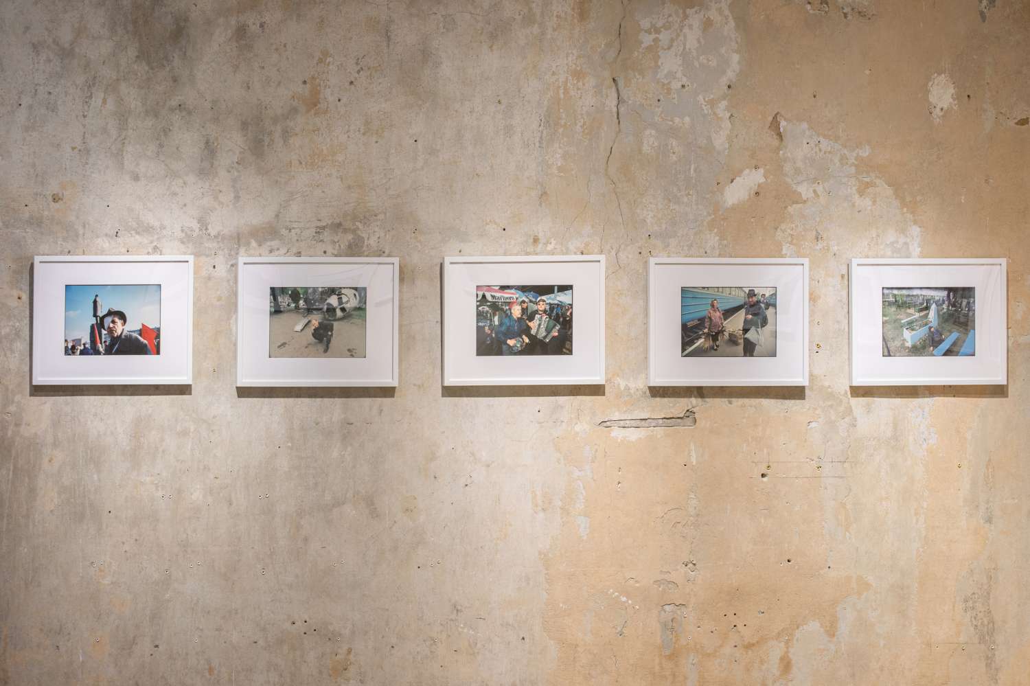 We All Once Lived. Photo 12