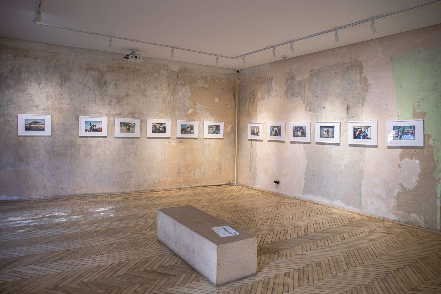 We All Once Lived. Photo 1