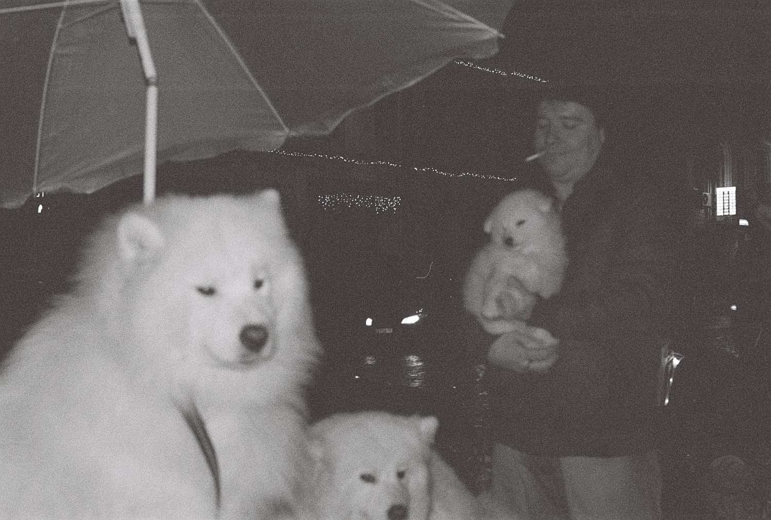 , Yevgenia Belorusets