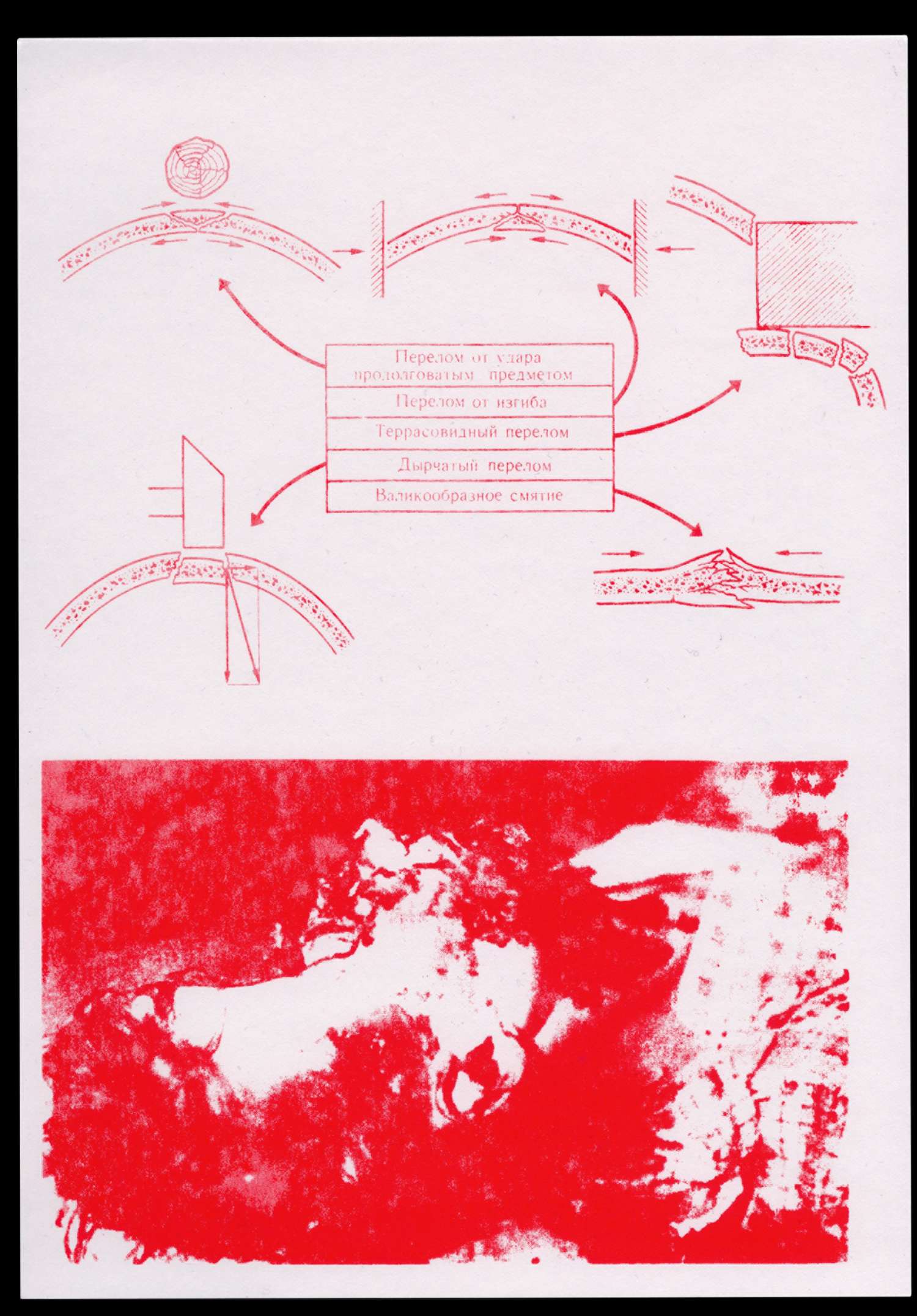 , Restless Bodies at NOME gallery Berlin
