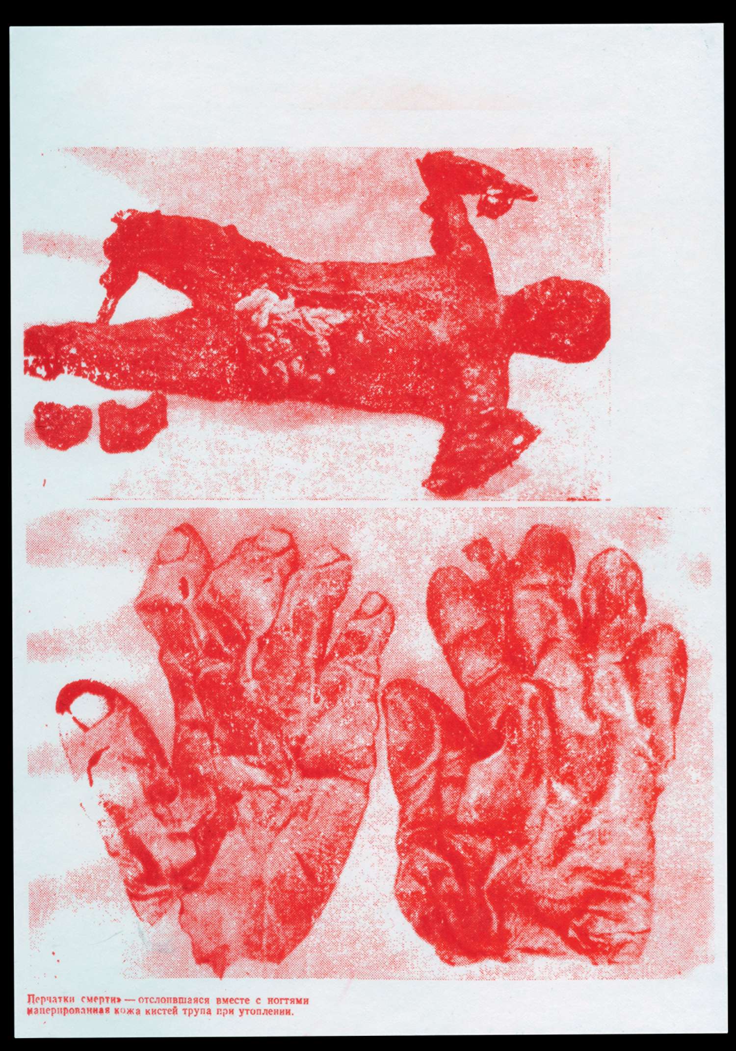 , Restless Bodies at NOME gallery Berlin