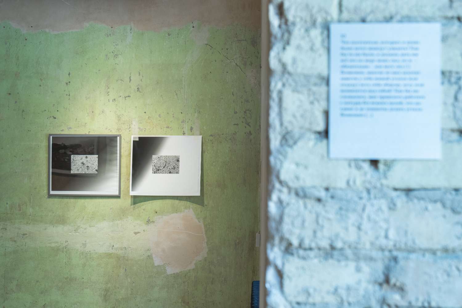 Pets' Corner. Photo 3