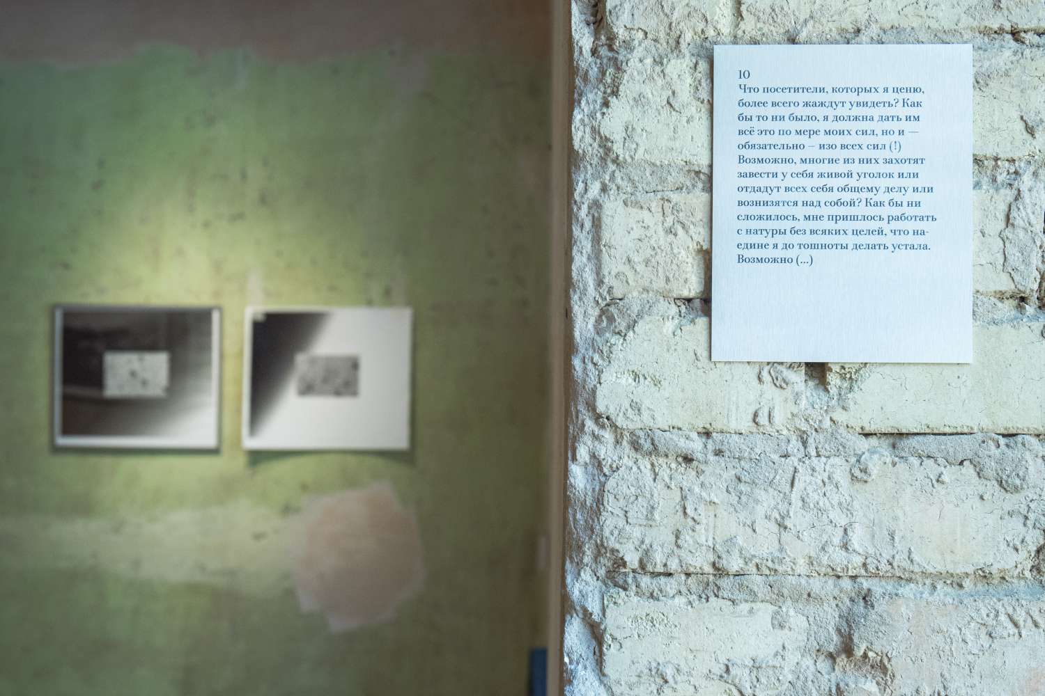 Pets' Corner. Photo 5