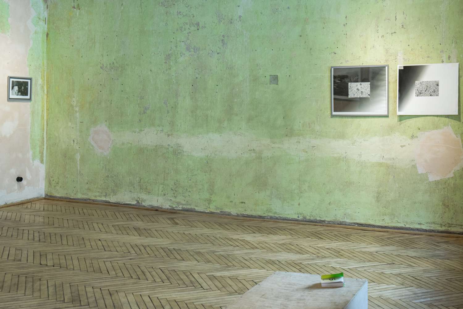 Pets' Corner. Photo 6