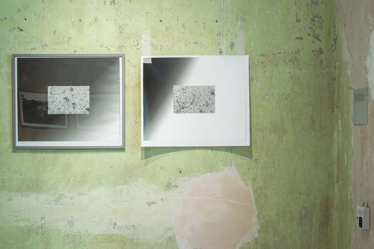 Pets' Corner. Photo 7