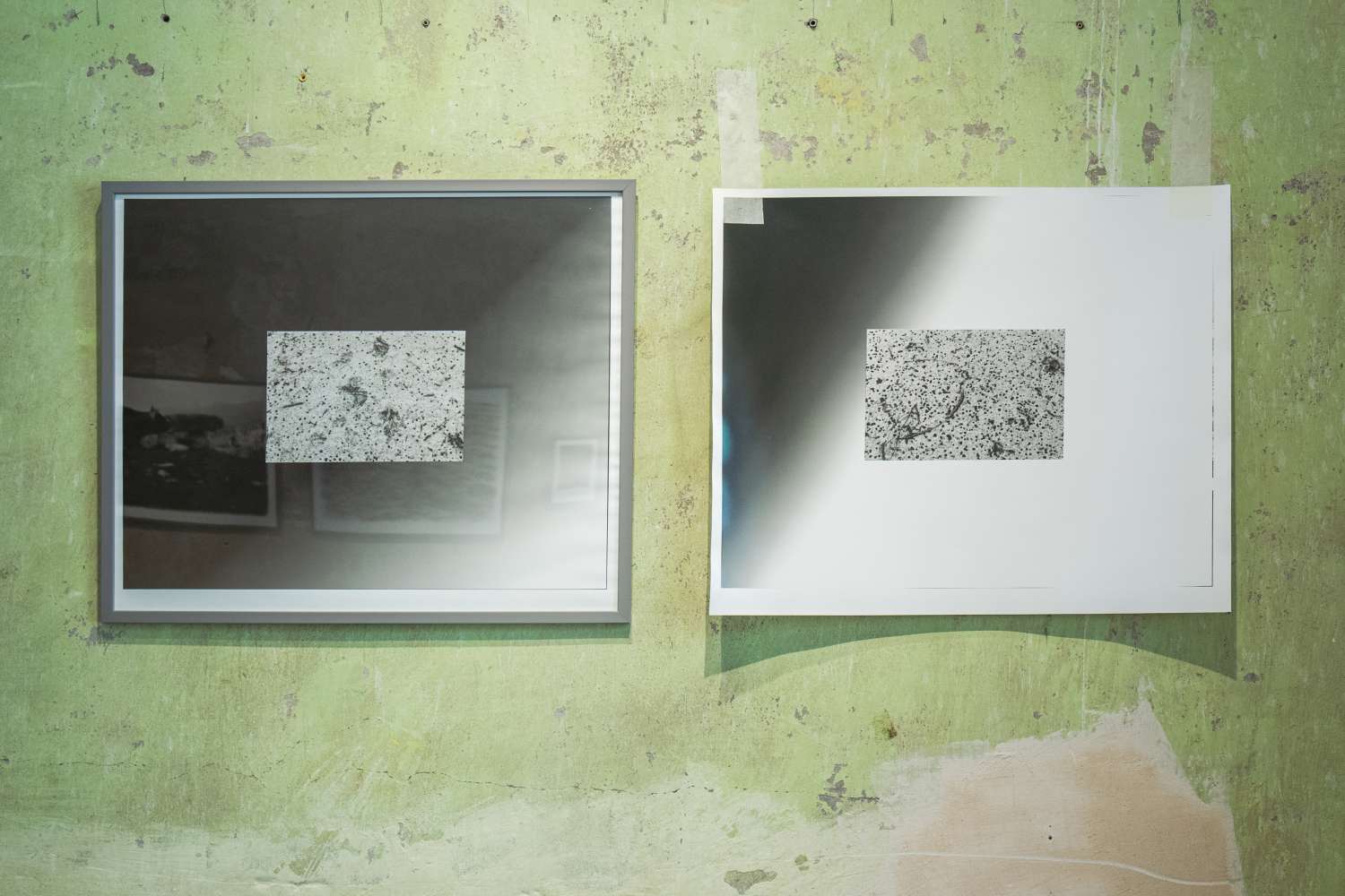 Pets' Corner. Photo 8