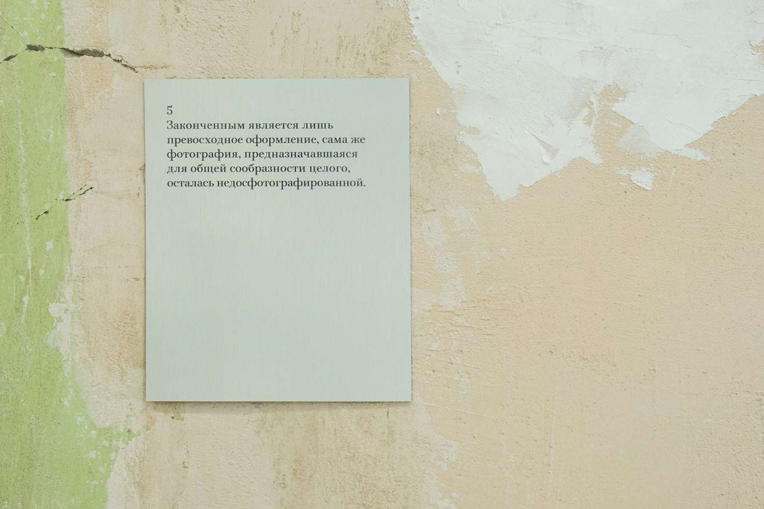 Pets' Corner. Photo 9