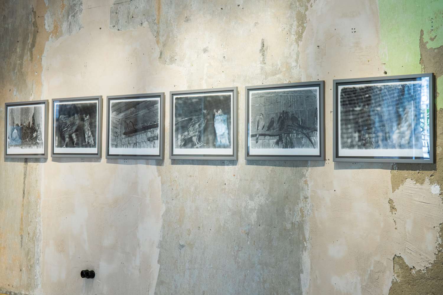 Pets' Corner. Photo 10