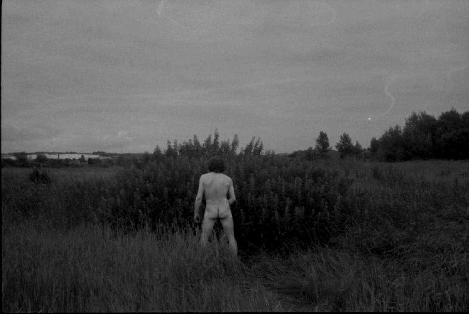 , So What About the Mammoth? Mohrytsia Epilogue