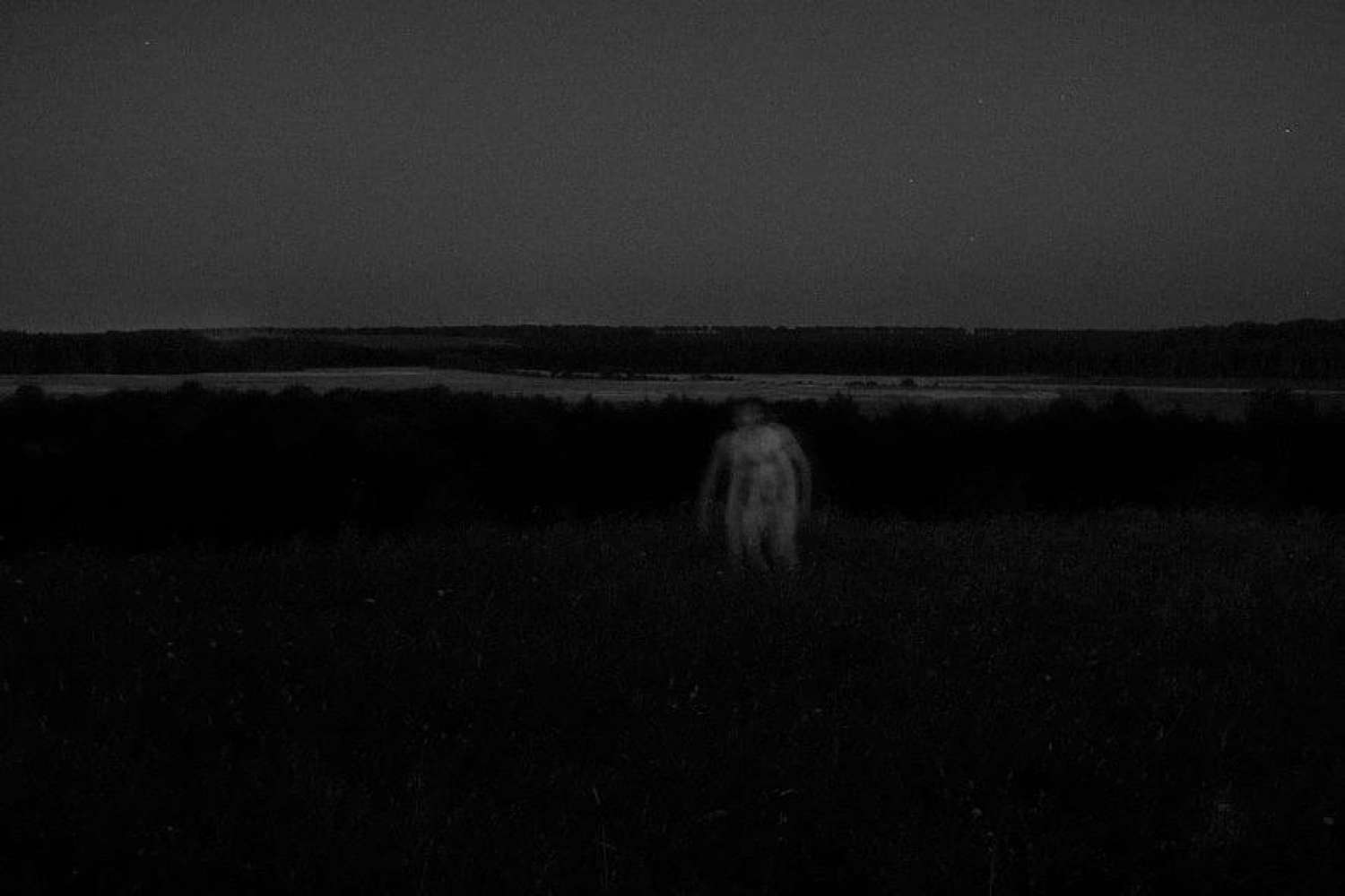 , So What About the Mammoth? Mohrytsia Epilogue