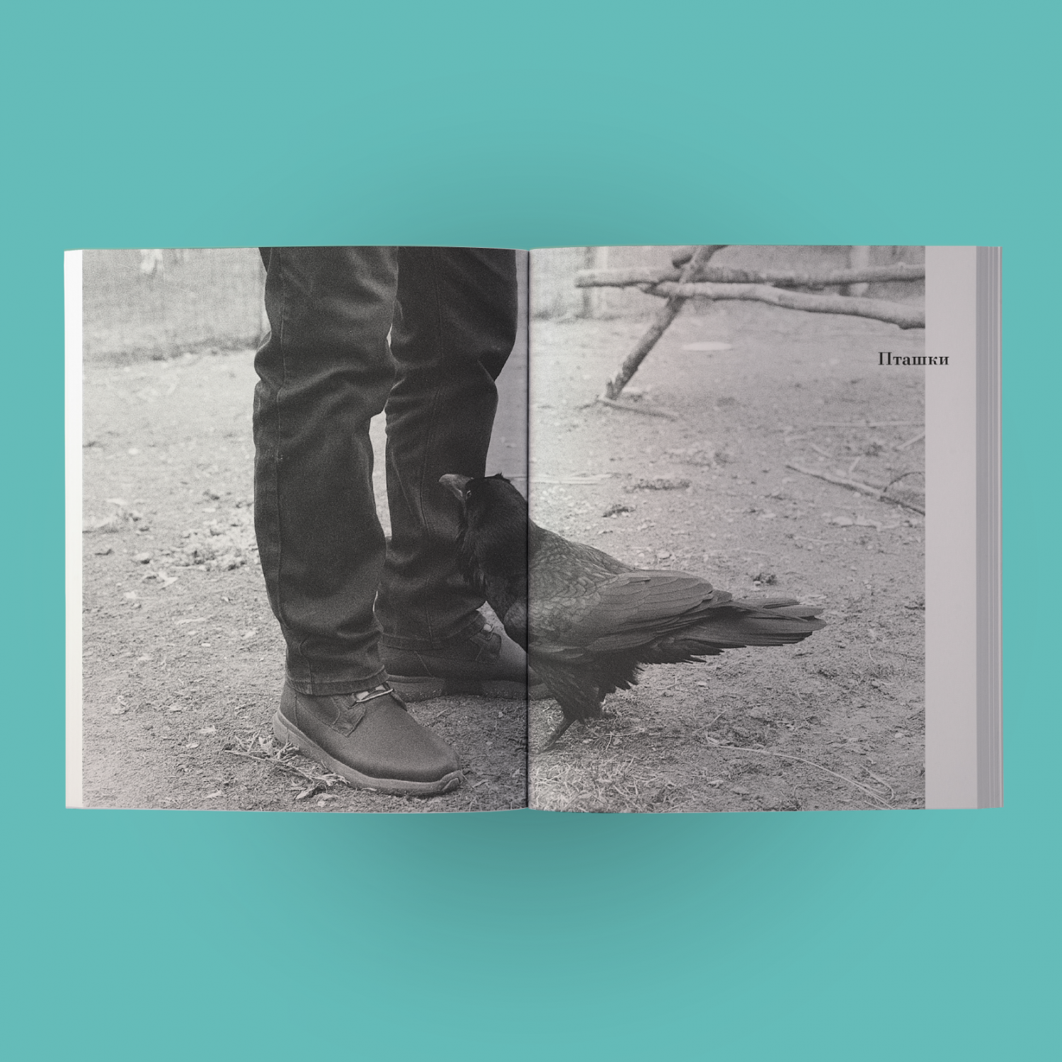 Цикл лекций о современной жизни животных [Цикл лекцій про сучасне життя тварин]. Image 2