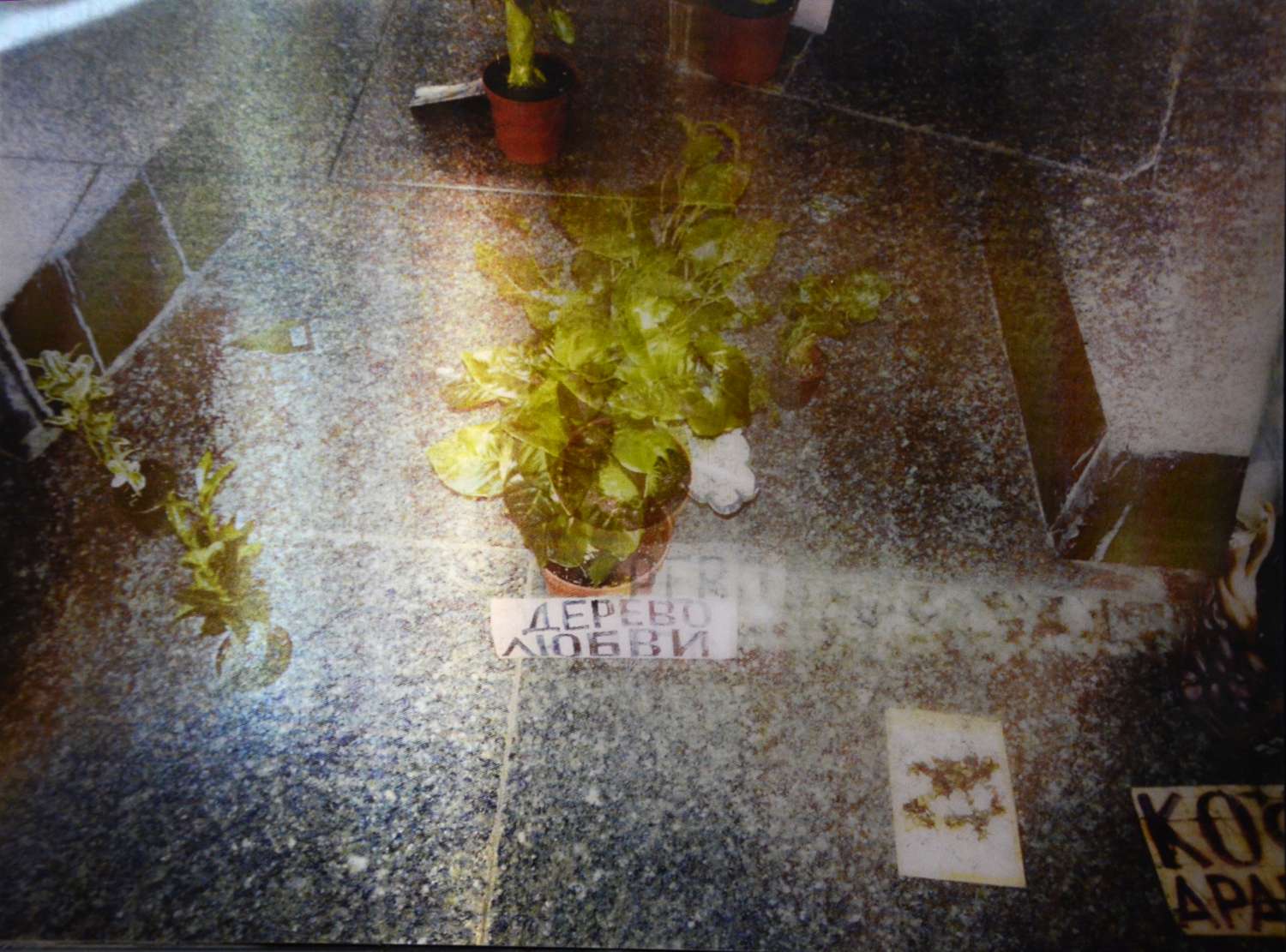 , A Very Personal Show 