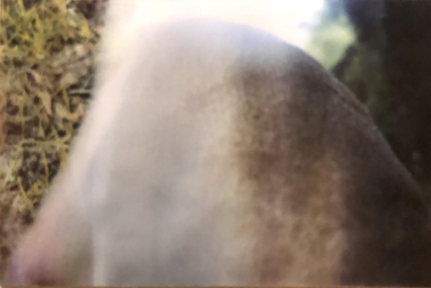 , A Very Personal Show 