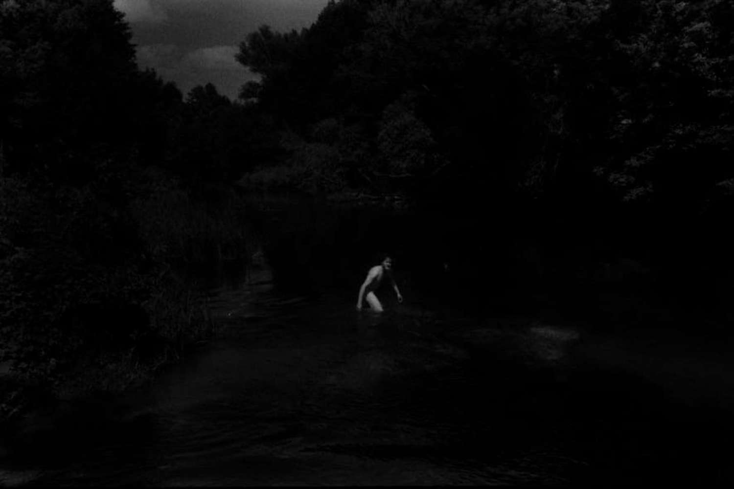 , So What About the Mammoth? Mohrytsia Epilogue