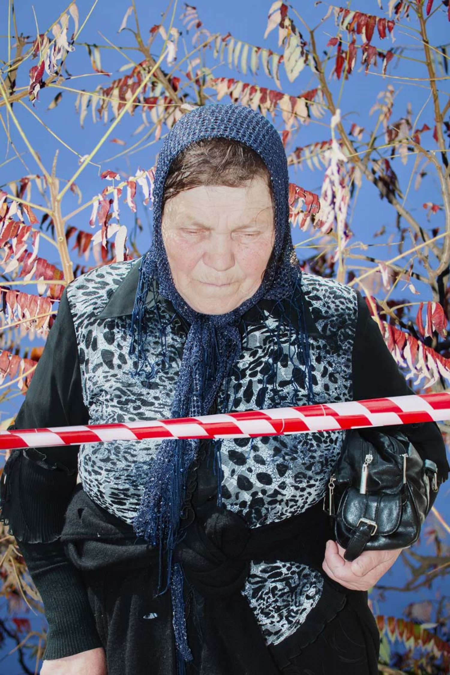 , Елена Субач