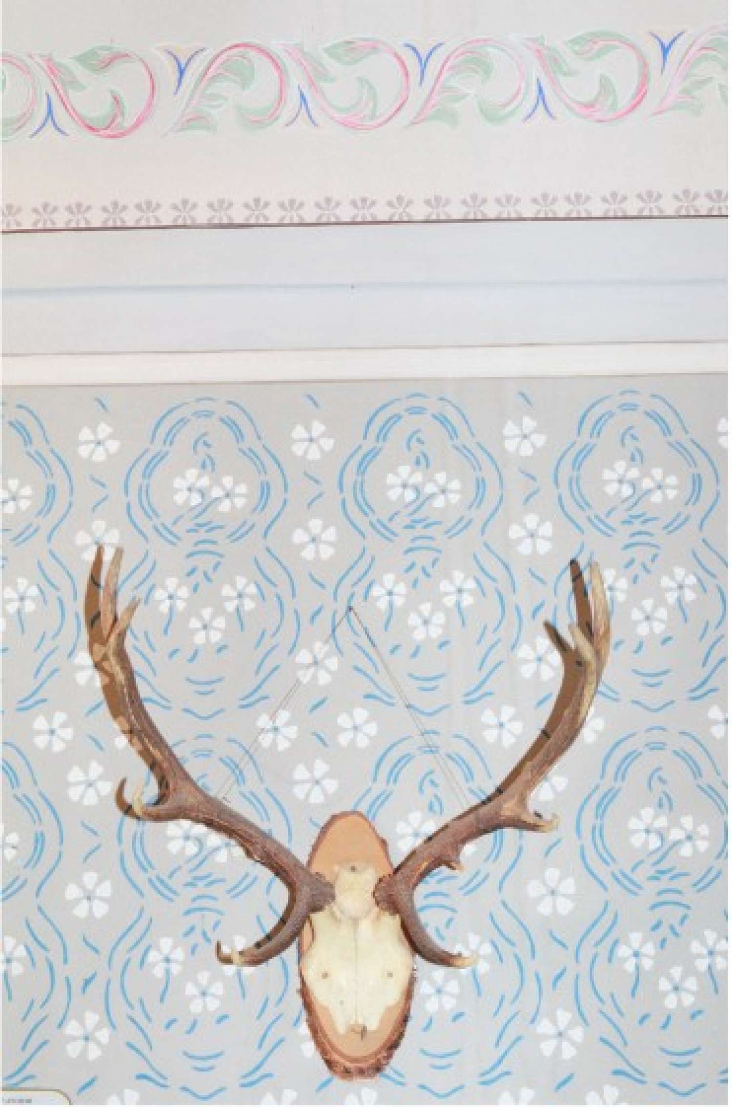 , Елена Субач