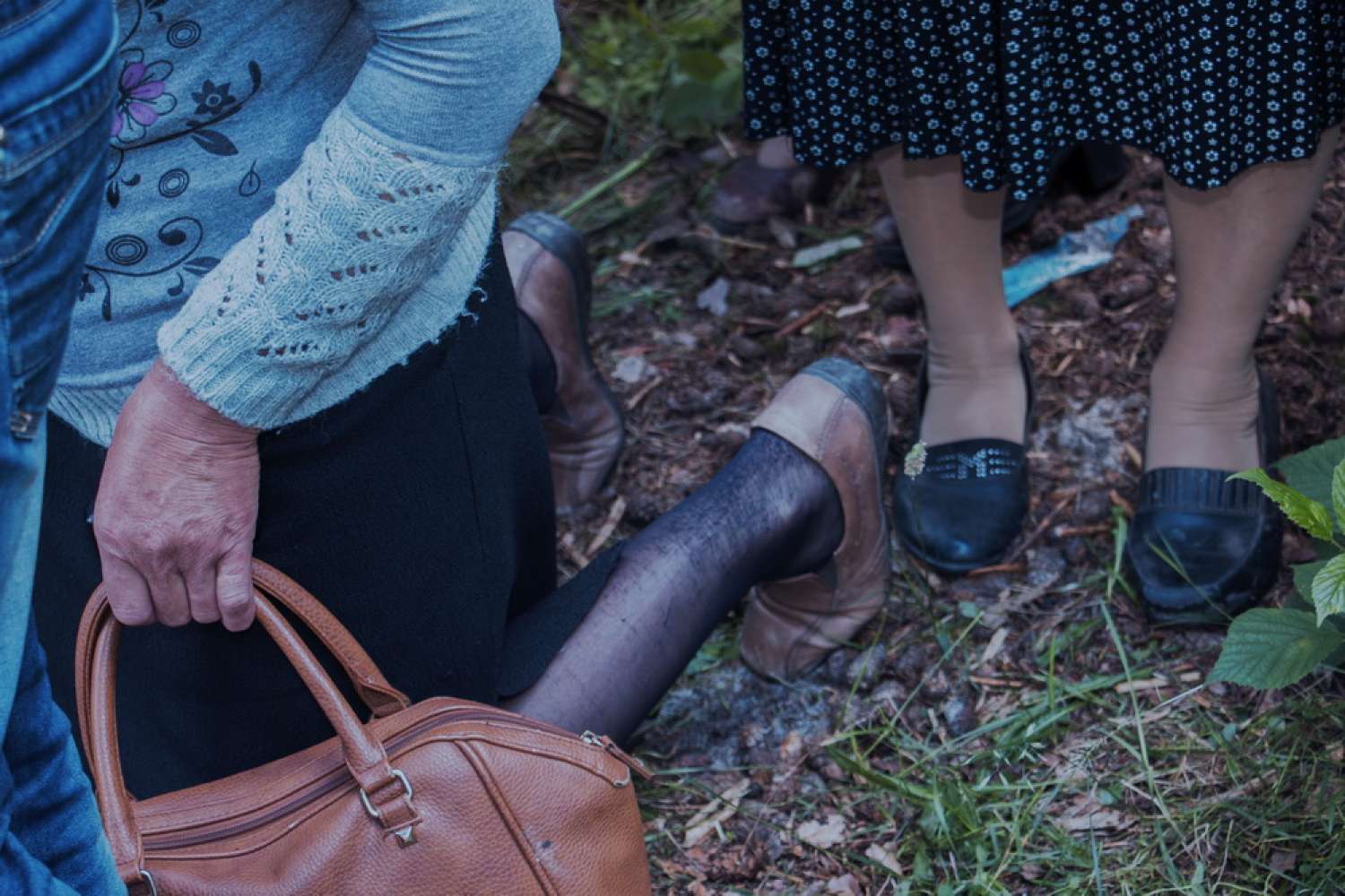 , Елена Субач