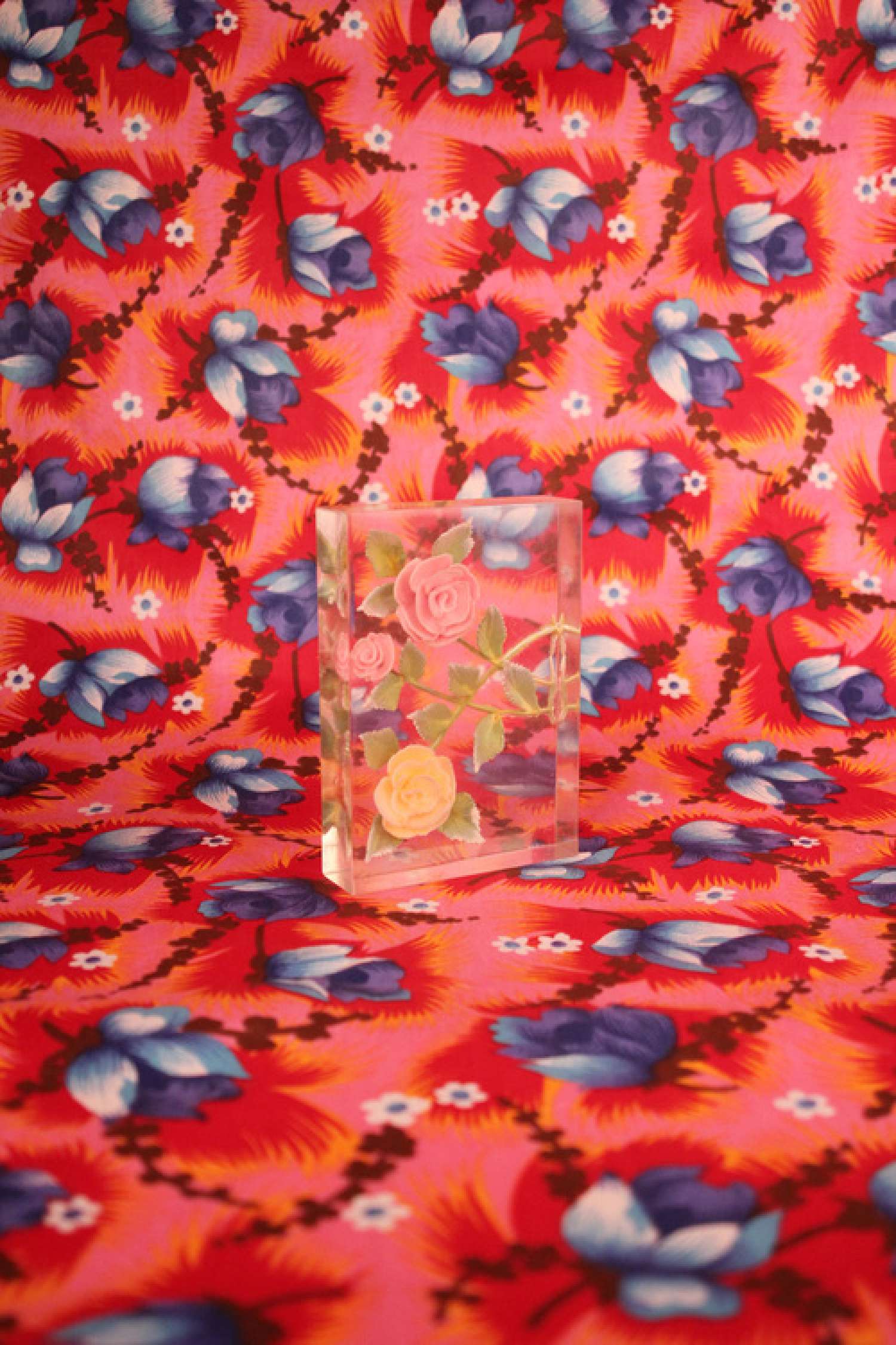 , Саша Курмаз