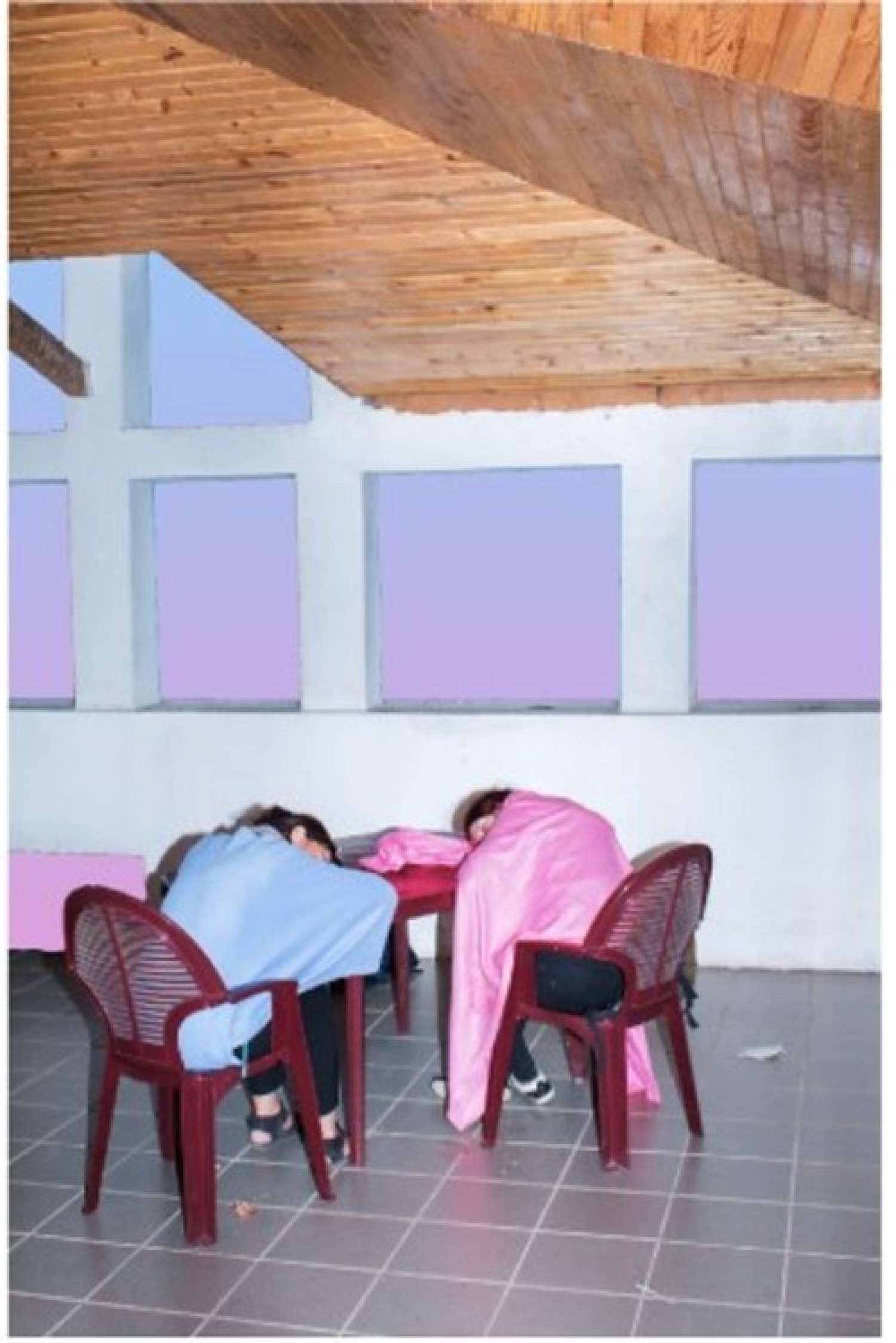 , Елена Субач