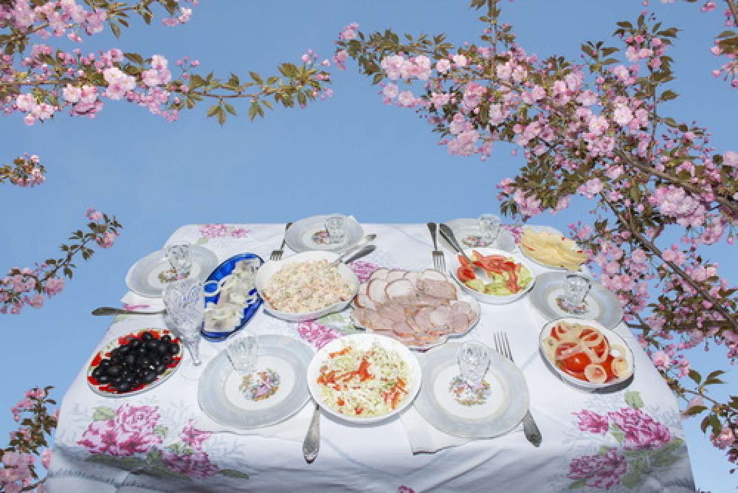 , Елена Субач