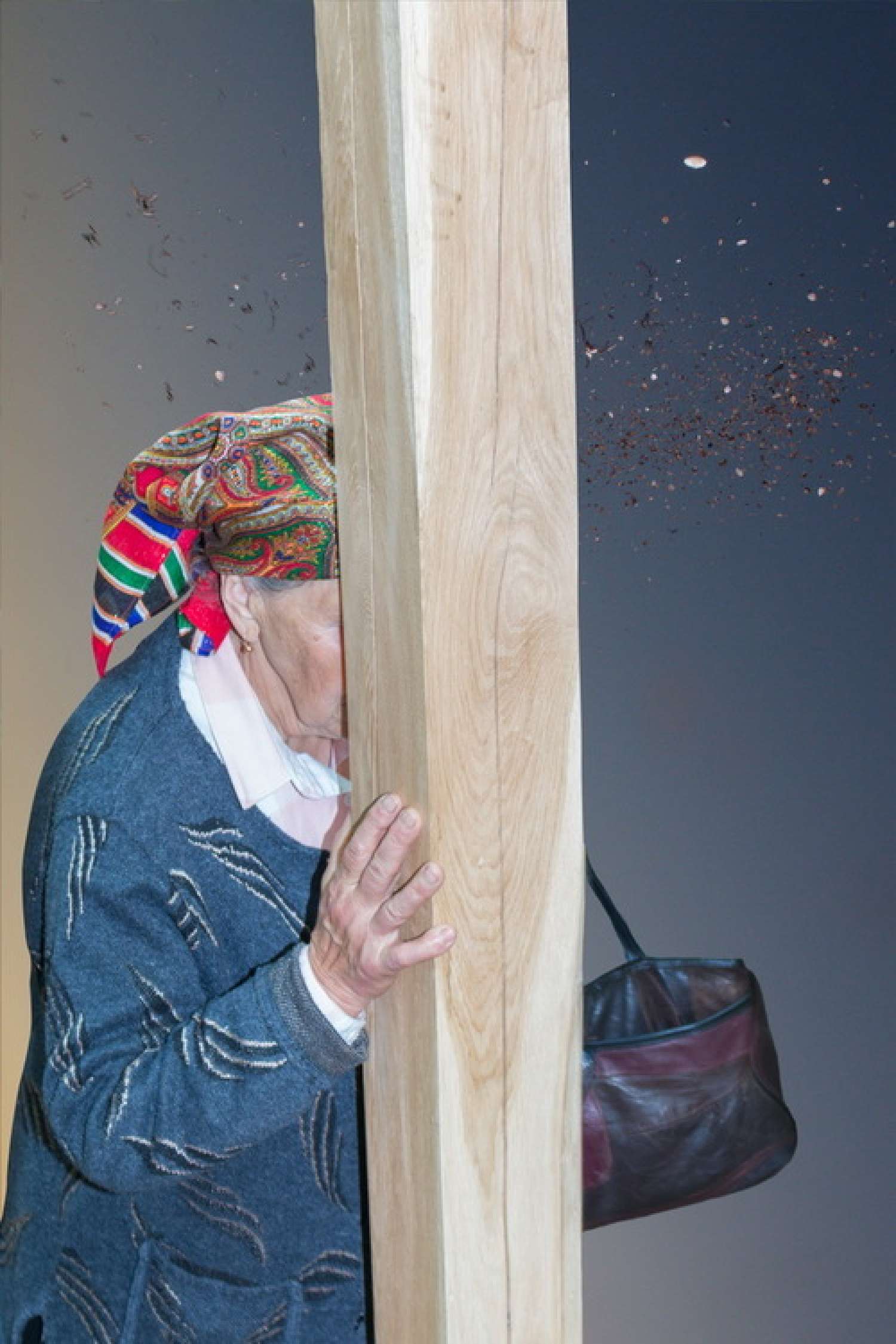 , Елена Субач