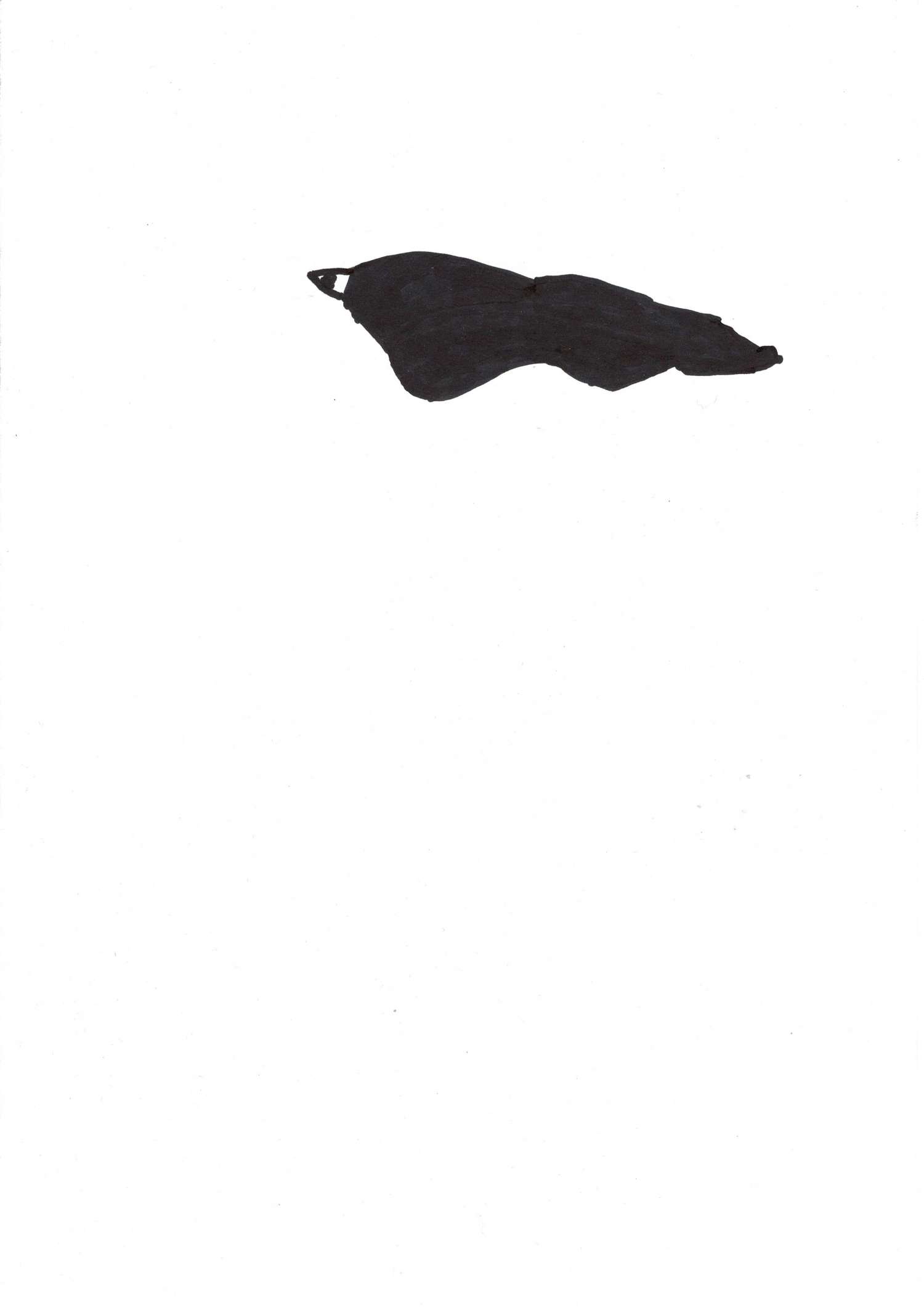 , Андрій Новик