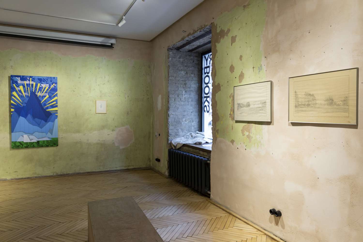 The Naked Collector. Volodymyr Kadygrob. Photo 4