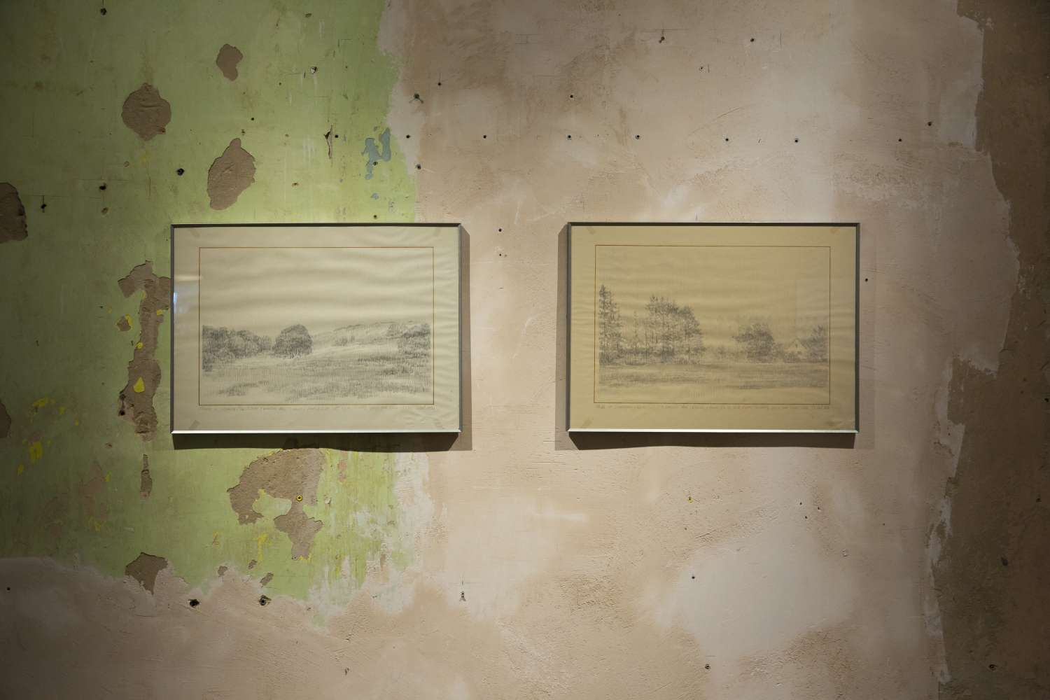 The Naked Collector. Volodymyr Kadygrob. Photo 27