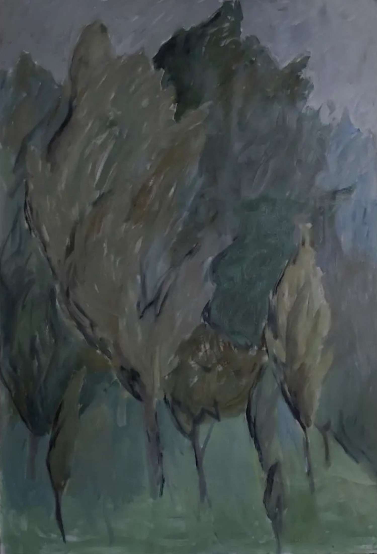 , Kateryna Lysovenko