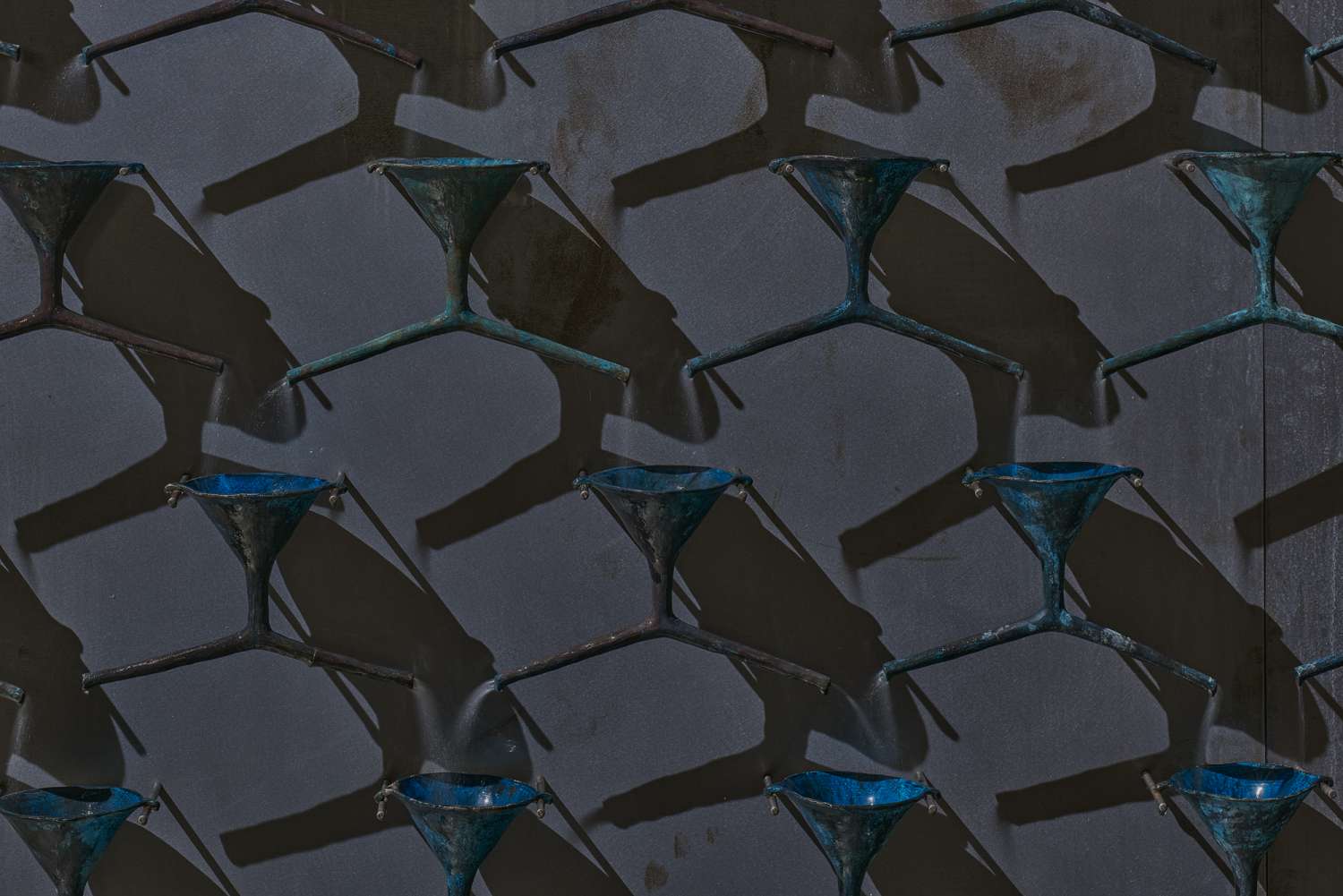 фото Даріус Петрулаітіс