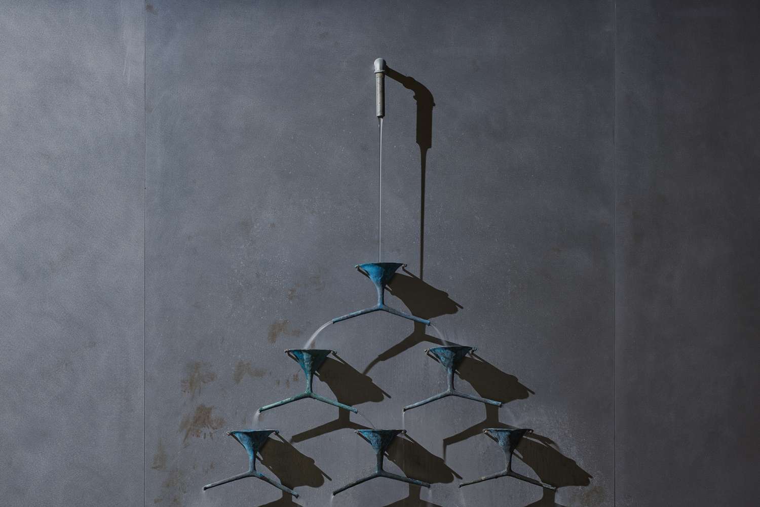 фото Даріус Петрулаітіс