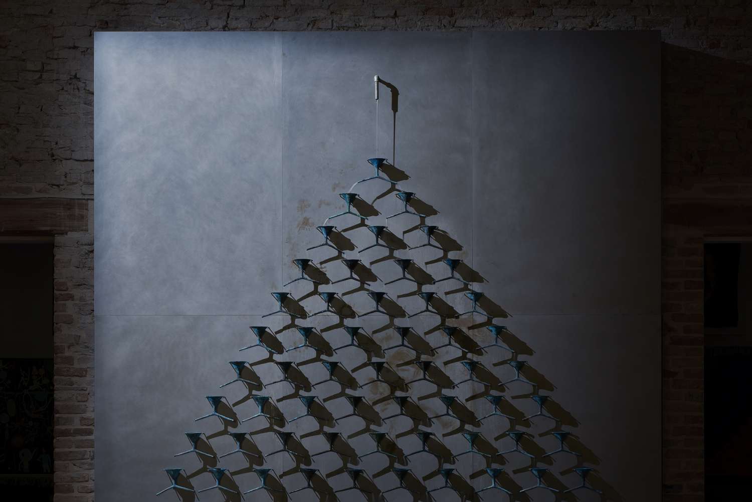 фото Даріус Петрулаітіс