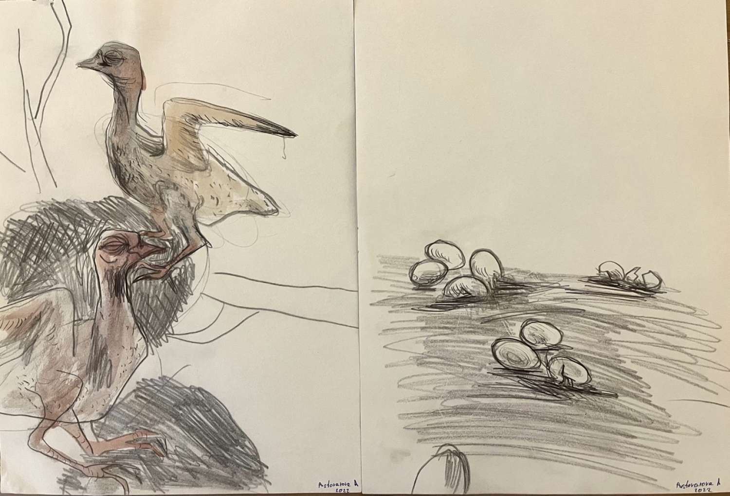 , Wartime Art Archive