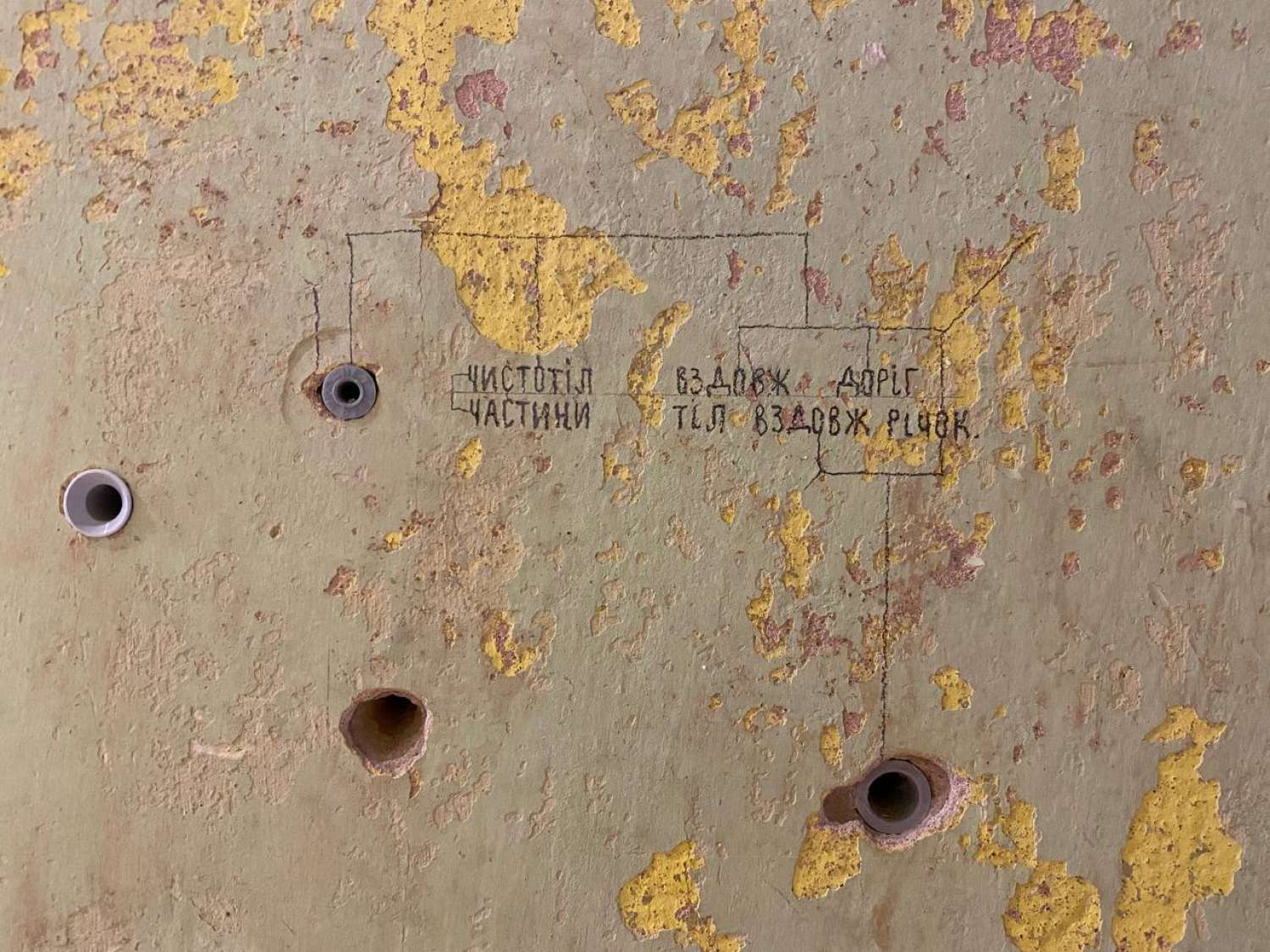 , Ярослав Футимський