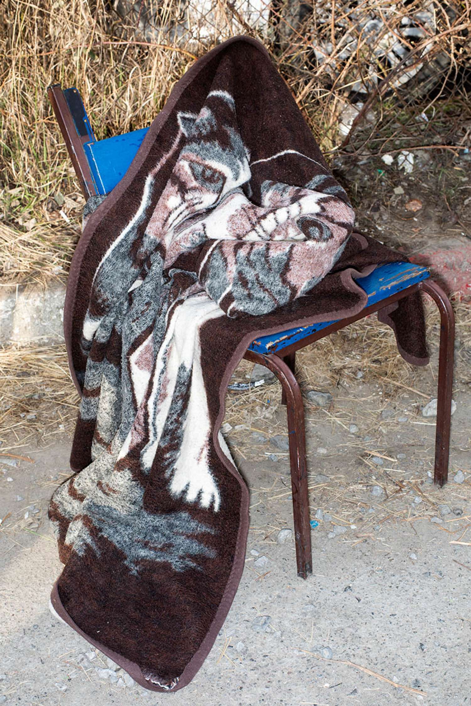 , Елена Субач