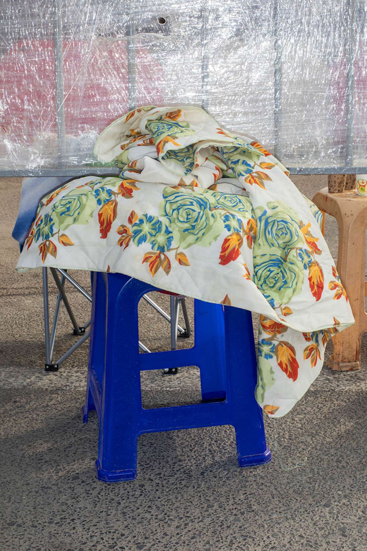 , Елена Субач