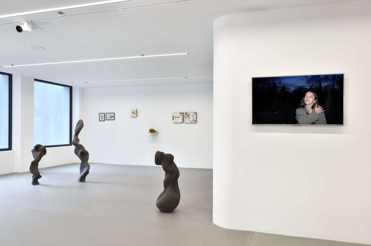  IT’S ONLY ACHILLES’ HEEL THAT’S LEFT ALIVE. Photo 8